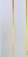 Панель Софитто золото (2 секции), 240*3000*8 мм.. Фото. Строй-Отделка