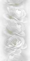 Панель №851 Белые розы. Фото. Строй-Отделка