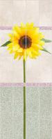 Панель Fiori sunflower (Фиори подсолнух). Фото. Строй-Отделка