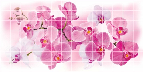 Фото. Орхидея Розея. Строй-Отделка