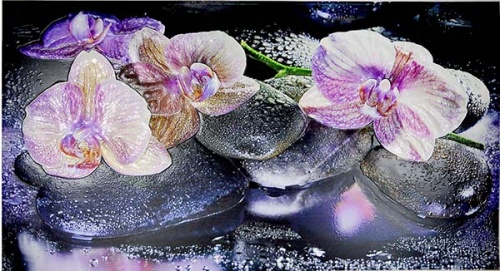 Фото. Орхидеи на камне. Строй-Отделка