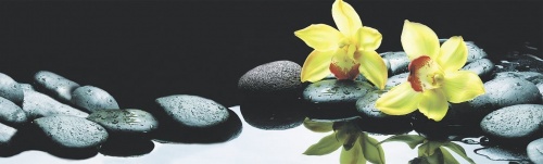 Фото. Кухонный фартук Орхидеи в воде. Строй-Отделка