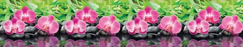 Фото. Кухонный фартук Орхидеи эпифиты. Строй-Отделка