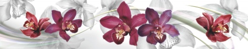 Фото. Кухонный фартук Орхидеи. Строй-Отделка