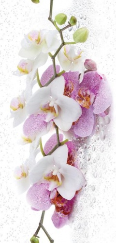 Фото. Панель №0155 Букет орхидей. Строй-Отделка