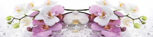 Фото. Кухонный фартук Лиловая орхидея. Строй-Отделка
